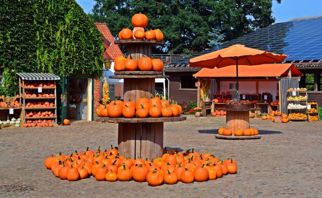 Pumpkin Carving Tips