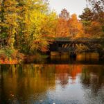 Fall Activities