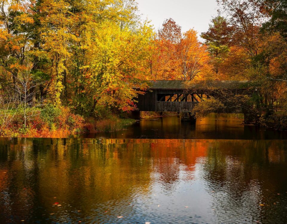 Fall Activities