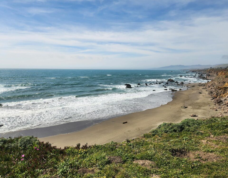 Winter Fun in Sonoma County